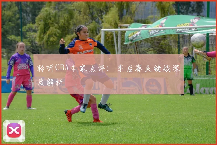 聆听CBA专家点评：季后赛关键战深度解析