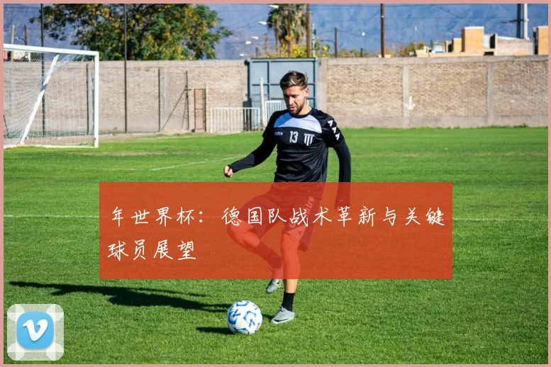 年世界杯：德国队战术革新与关键球员展望
